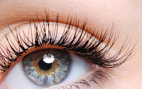Eyelash Facts you Will Love